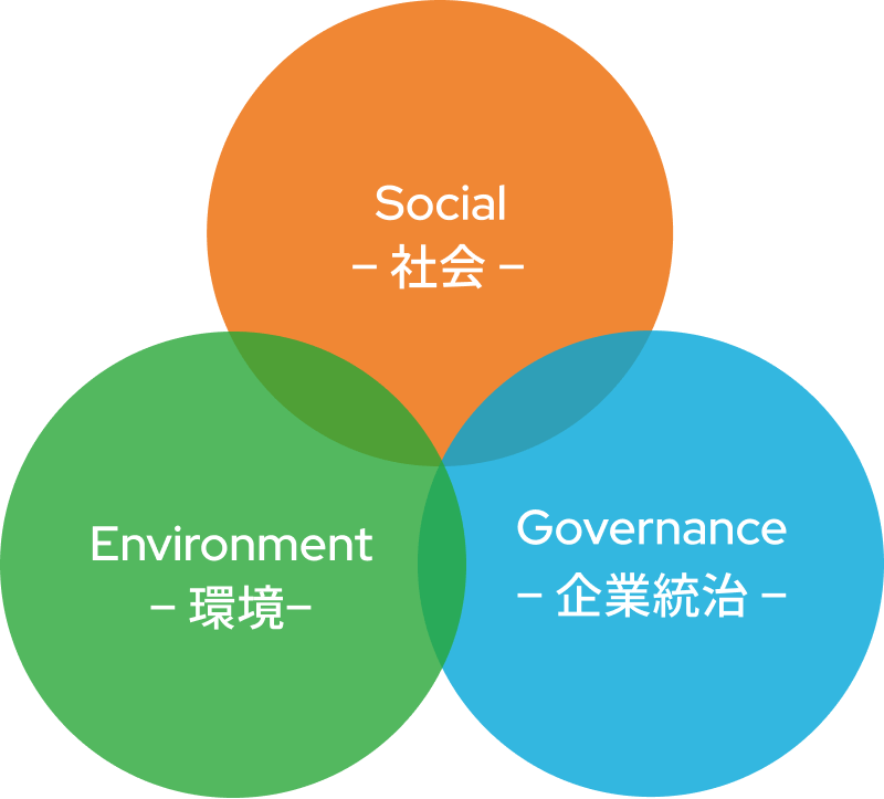 social enviroment governance